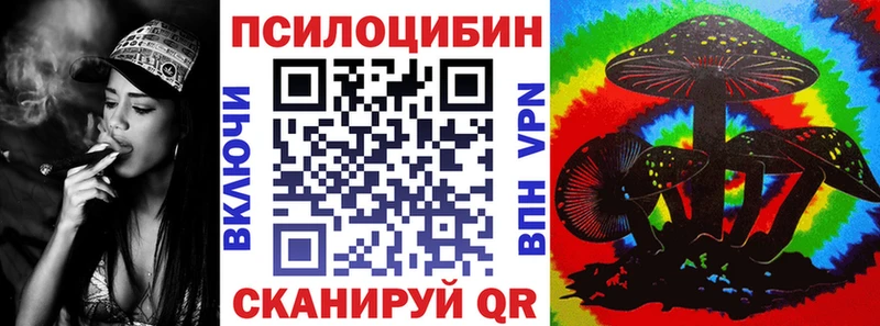 Галлюциногенные грибы Psilocybine cubensis  закладки  Комсомольск 